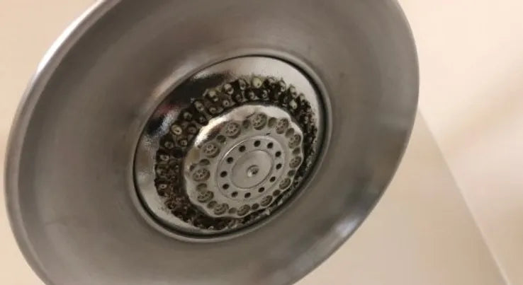 Bakterier og mug, der gror indeni et brusehoved, som kræver en grundig rengøring